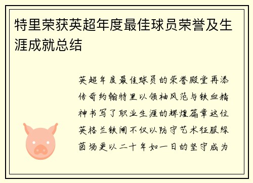 特里荣获英超年度最佳球员荣誉及生涯成就总结