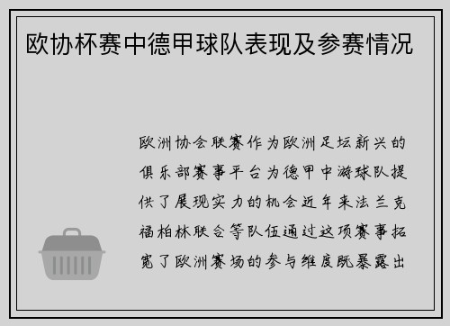 欧协杯赛中德甲球队表现及参赛情况